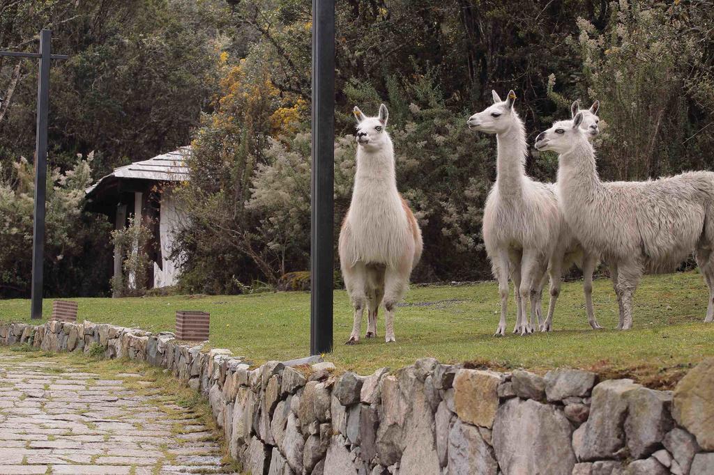 Hacienda Hosteria Dos Chorreras Cuenca Dış mekan fotoğraf